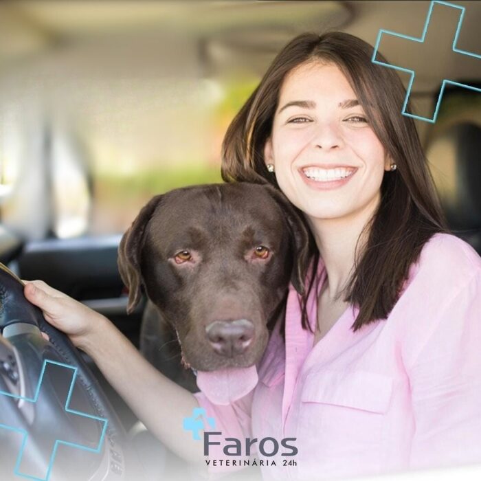 Confira como viajar com pet com as dicas Faros!