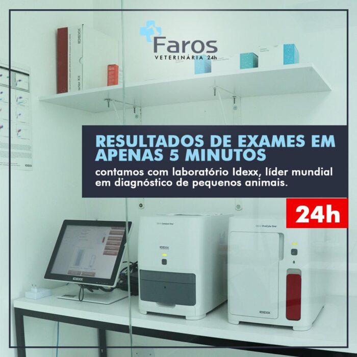 Conheça mais sobre o exame de raio-x veterinário da Faros!