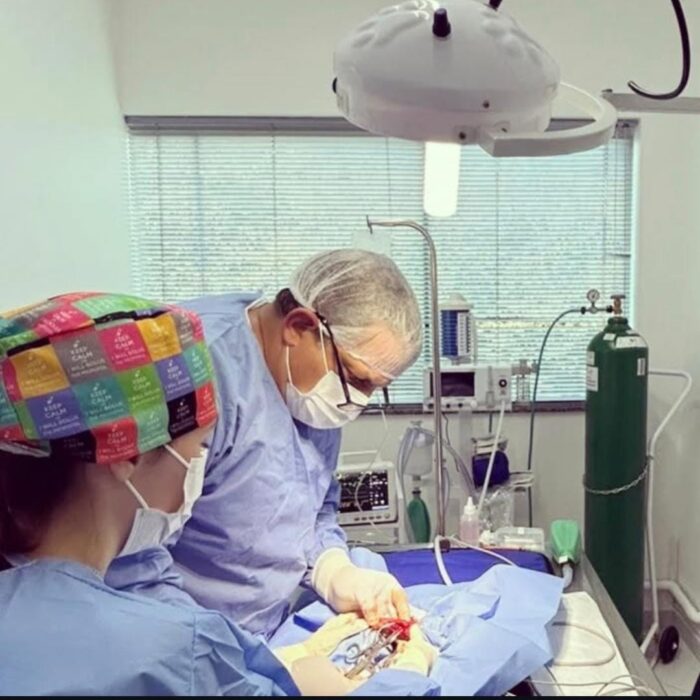 Entenda mais sobre como cuidar da recuperação de uma cirurgia ortopédica veterinária!