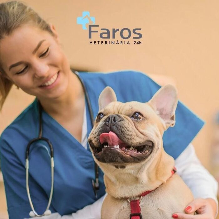 Venha com a Faros e entenda o que é a hematologia veterinária!