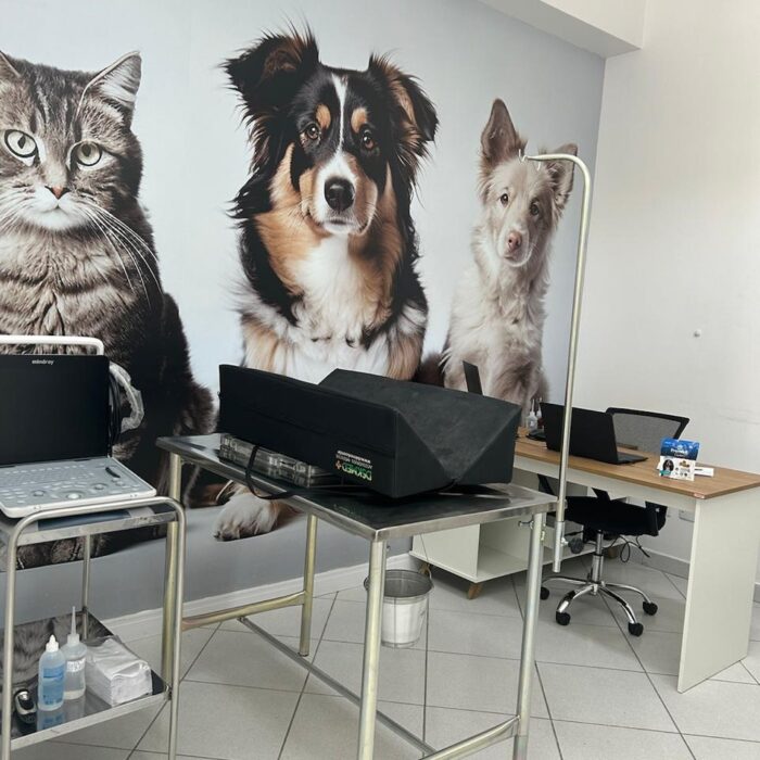 Conheça mais sobre os exames e tratamentos veterinários oferecidos na Faros!