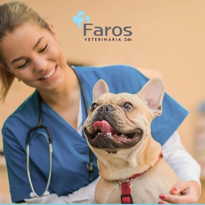 Entenda como investir na longevidade do pet com a Faros!