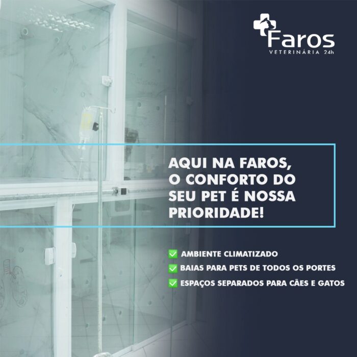 Venha com a Faros e conheça as principais doenças cardiológicas em cães!